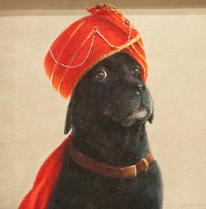 Reluctant Maharaja, 2010